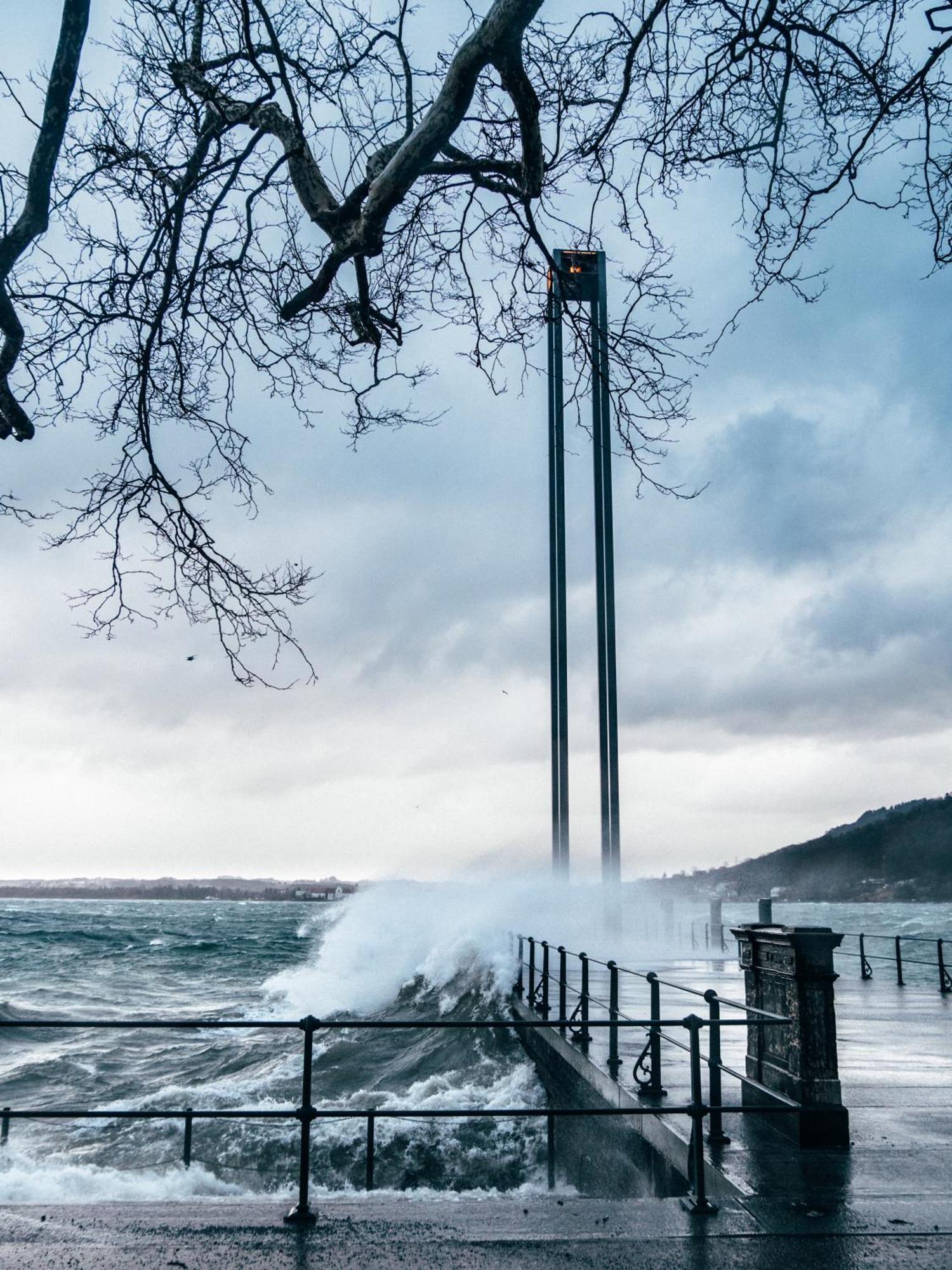 Seeblick Bregenz - Mit Parkgarage Esterno foto