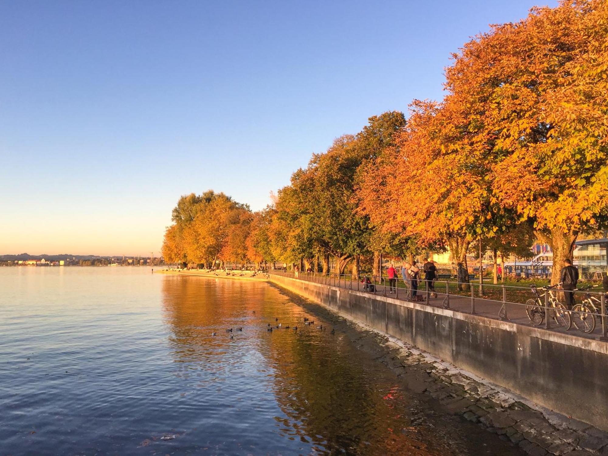 Seeblick Bregenz - Mit Parkgarage Esterno foto